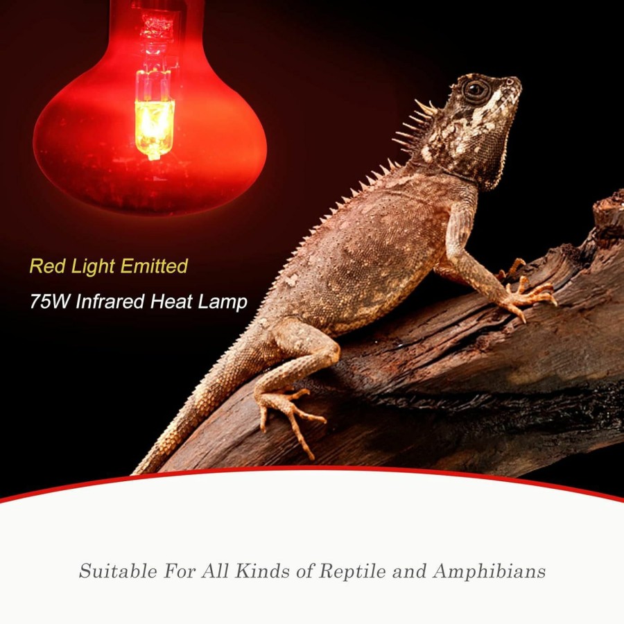 Reptiles & Amphibian WUHOSTAM | Wuhostam 75W Infrared Reptile Heat Lamp Bulb, Uva Basking Spot Red Light Glass Heat Bulbs For Reptiles And Amphibian Use, Bearded Dragon, Turtle, Gecko, Snake, Lizard, Chameleon - 2 Pack