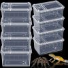 Reptiles & Amphibian Irenare | Irenare 8 Pcs Reptile Breeding Breeding Box Plastic Spider Terrarium Tarantula Feeding Box For Bearded Dragon Lizard Spider Gecko Scorpion, 5.9 X 3.9 X 2.5 In