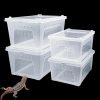 Reptiles & Amphibian Hamiledyi | Hamiledyi 4 Pcs Reptile Breeding Box Plastic Feeding Box Transparent Transport Container Portable Snake Enclosure Scorpion Lizard Gecko Insect Tarantula Frog Tortoise Spider Habitat Cage (White)