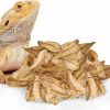 Reptiles & Amphibian SunGrow | Sungrow 30 Pack Large Catappa Indian Almond Leaves For Reptiles, 8 Inches, Leaf Litter Provides Hiding Place And Visual Barrier, Maintains Humidity In Vivarium, Aesthetic Tank Decor In Gecko Terrarium