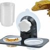 Reptiles & Amphibian MRTIOO | Mrtioo 100 Pcs 0.5Oz Crested Gecko Food And Water Feeding Cups, Reptile Feeder Bowls, For Lizard And Other Small Pet Ledge Accessories Supplies