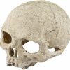 Reptiles & Amphibian Generic | Primate Skull Caves For Reptile And Amphibians - Climbing And Hiding Spots, Great For Lizards,Snakes,Turtles,Geckos,Frogs,Small Animals Large Size