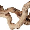 Reptiles & Amphibian Pisces | 12" Grapewood Sandblasted Branchy, Varies