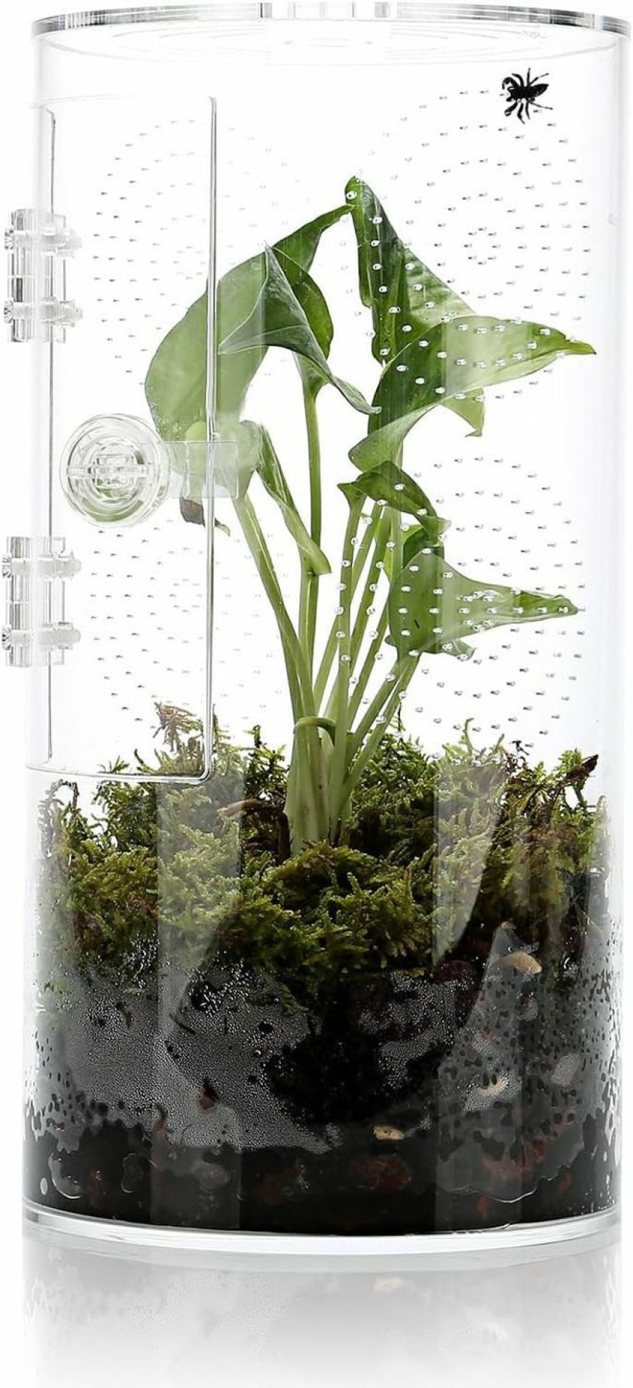 Reptiles & Amphibian LYL LEYOULAND | Jumping Spider Enclosure, 11.5"*6"*6", Micro Habitat Terrariums, Arboreal Reptile Tank With Front Opening Door,Tarantula Enclosure, Plant Greenhouse