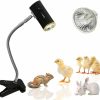 Reptiles & Amphibian GABraden | Gabraden Reptile Pet Coop Heater 50W Safer Than Brooder Lamps Used For Rabbits, Chickens, Hamsters And Other Small Animals (Black)