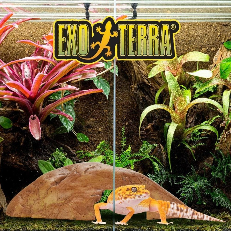 Reptiles & Amphibian Exo Terra | Exo Terra Reptile Cave, Medium