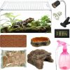 Reptiles & Amphibian FillTouch | Filltouch 10 Pcs Magnetic Acrylic Reptile Terrarium Enclosure Set, 11.8 X 7.9 X 5.9 In Amphibians Tank Starter Kits Reptile Insect Breeding Box For Snails Spiders Chameleons Geckos Scorpions