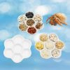 Reptiles & Amphibian Neeenn | 3 Pcs Hermit Crab Ceramic Food Dish, Hermit Crab Food & Water Bowl, Mini Food Dish Kit, Suitable For Hermit Crab Tarantula Snail