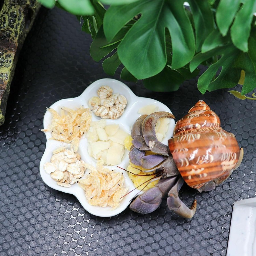 Reptiles & Amphibian Neeenn | 3 Pcs Hermit Crab Ceramic Food Dish, Hermit Crab Food & Water Bowl, Mini Food Dish Kit, Suitable For Hermit Crab Tarantula Snail