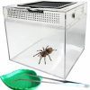 Reptiles & Amphibian kathson | Kathson Reptile Feeding Box Lizard Tank Enclosure Hermit Crab Habitat Reptile Terrarium With Tweezer Bowl For Frog Spider Gecko Tarantulas 11.8X7.08X8.66 Inch (Large)