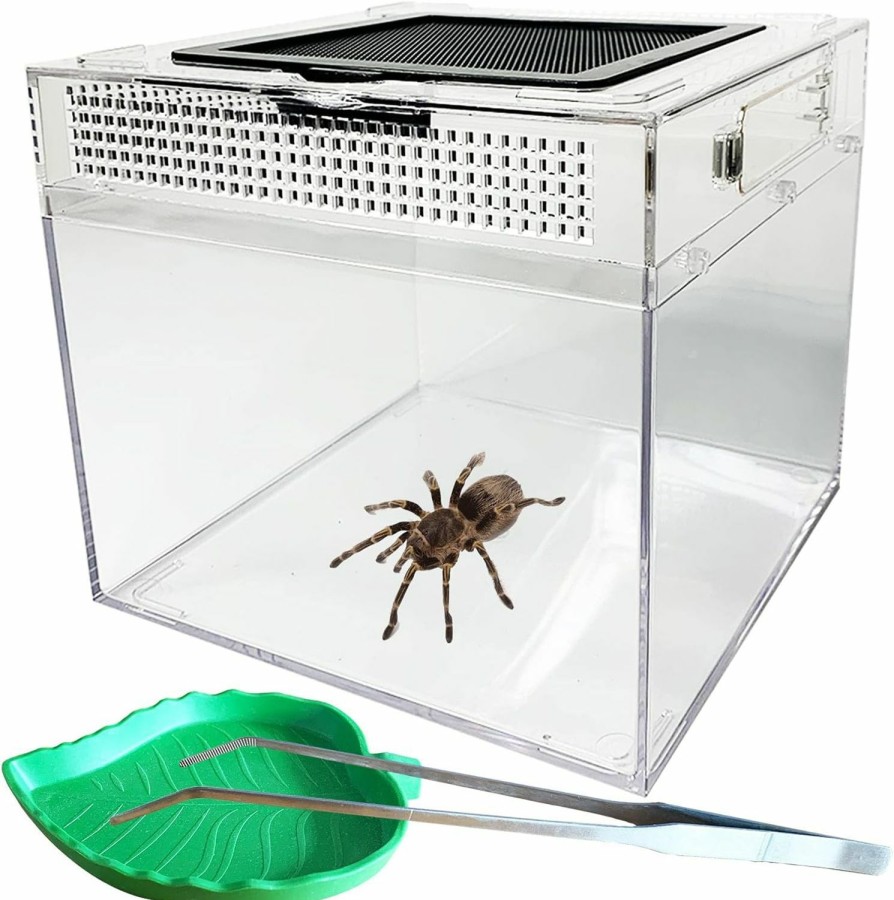 Reptiles & Amphibian kathson | Kathson Reptile Feeding Box Lizard Tank Enclosure Hermit Crab Habitat Reptile Terrarium With Tweezer Bowl For Frog Spider Gecko Tarantulas 11.8X7.08X8.66 Inch (Large)