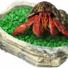 Reptiles & Amphibian SunGrow | Sungrow Small Hermit Crab Feeding Bowl, For Turtle, Leopard & Crested Gecko, Ball Python, Durable, Multifunctional Decor, Serve As Climbing Toy Or Drinking Bowl