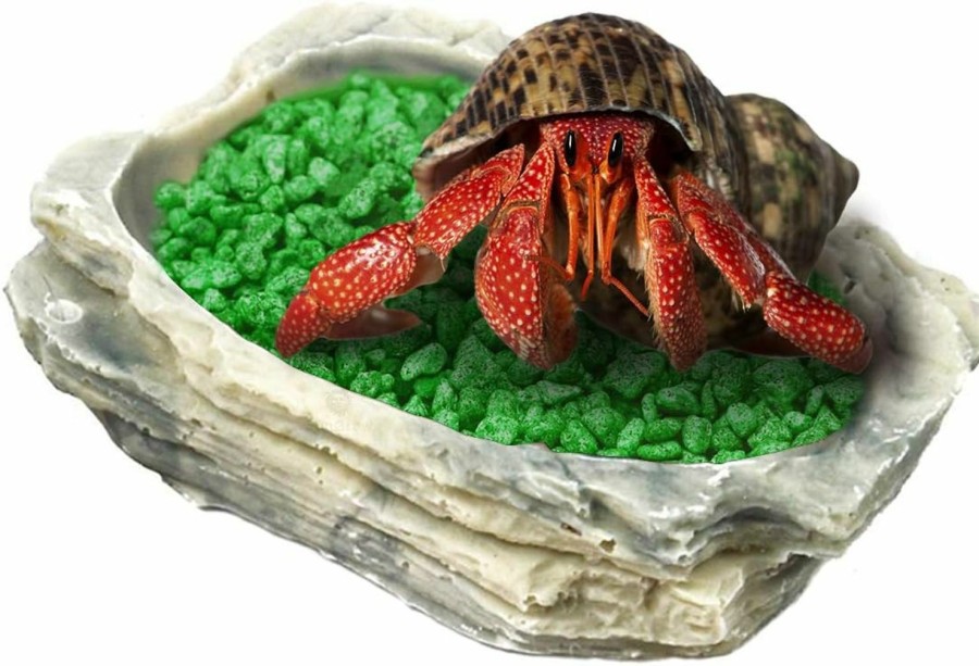 Reptiles & Amphibian SunGrow | Sungrow Small Hermit Crab Feeding Bowl, For Turtle, Leopard & Crested Gecko, Ball Python, Durable, Multifunctional Decor, Serve As Climbing Toy Or Drinking Bowl