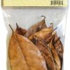 Reptiles & Amphibian Josh's Frogs | Josh'S Frogs Large Jackfruit Leaf Litter (10 Count)