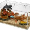 Reptiles & Amphibian xcpec | Xcpec Reptile Terrarium & Enclosure Acrylic Clear Habitat Tank With Locking Latch, Starter Cage 16X10X8 For Jumping Spiders, Tarantulas, Snakes, Lizards,Bearded Dragon In Home Office