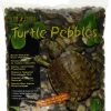 Reptiles & Amphibian Exo Terra | Exo Terra Turtle Pebbles, Large