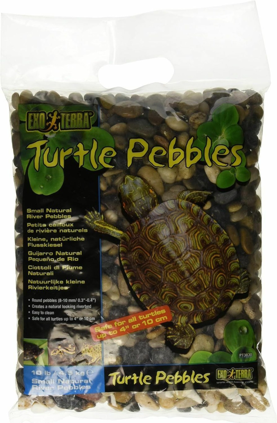 Reptiles & Amphibian Exo Terra | Exo Terra Turtle Pebbles, Large