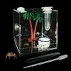 Reptiles & Amphibian GKPONSX | Gkponsx Jumping Spider Enclosure, Acrylic Snail Spider Terrarium Insect Breeding Box With Tongs Bowls Dropper For Snail Insects Gecko Scorpion Sling Mantis Frog Isopods Hermit Crabs (Coconut Tree)