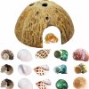 Reptiles & Amphibian SINKOO | Hermit Crab Shell Growth Seashells 15 Pcs (7 Types) Natural Coconut Shells Hut For Fish Tank Decor Hide Reptile Hideouts