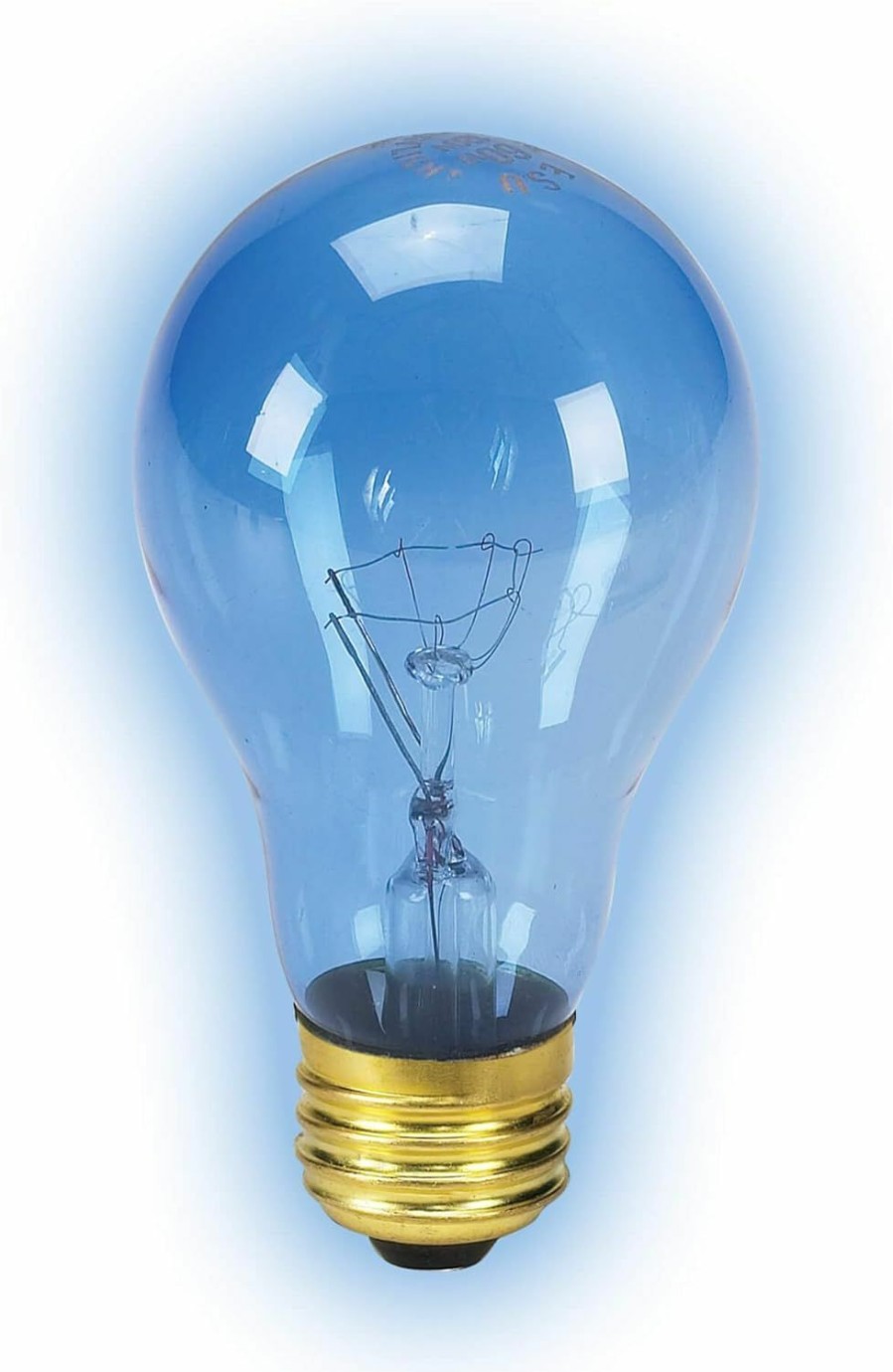 Reptiles & Amphibian Zilla | Day Blue Incandescent Bulb