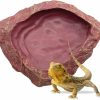 Reptiles & Amphibian APlayfulBee | Reptile Feeder Large Food Resin Bowl Water Dish Rock Worm Feeder Dish, Amphibian Feeding Bowl Decor For Lizards, Chameleon, Leopard Gecko, Frog, Bearded Dragons, Snake, Hermit Crabs (M)