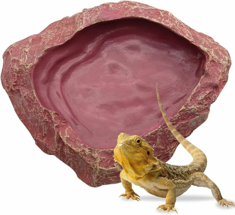 Reptiles & Amphibian APlayfulBee | Reptile Feeder Large Food Resin Bowl Water Dish Rock Worm Feeder Dish, Amphibian Feeding Bowl Decor For Lizards, Chameleon, Leopard Gecko, Frog, Bearded Dragons, Snake, Hermit Crabs (M)