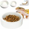 Reptiles & Amphibian Magtara | Magtara Reptile Food Dish Bowl - Anti-Escape Ceramic Worm Water Dish Feeder For Mealworm, Superworm, Dubia Roaches, Lizard, Leopard Gecko, Bearded Dragon, Chameleon, Skink, Tegu, Snake (Medium, Black)