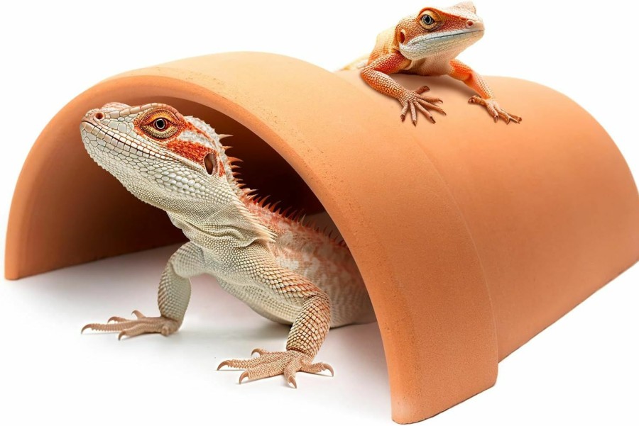 Reptiles & Amphibian AZV | Azv Reptile Hideout Cave, Turtle Terrarium Hides And Caves, Reptile Tank Decoration, Habitat Hide Cavern Hideaway Accessorie, Idea For Small Frog Tortoise Fish Bearded Dragon Gecko Hermit Crab