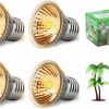 Reptiles & Amphibian Pilarmuture | Pilarmuture 4Pcs 75W Reptile Heat Lamp, Uva Uvb Full Spectrum Reptile Turtle Heating Lamp Bulbs E27 Sunbathe Heat Lamp Basking Bulb For Reptile Amphibian Turtle Lizard (With 2Pcs Coconut Tree)