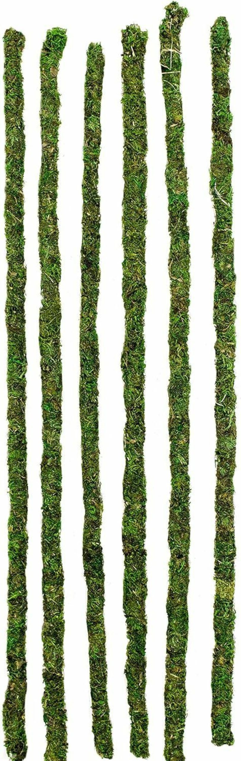 Reptiles & Amphibian Galapagos | Supermoss Galapagos (05321) Mossy Terrarium Sticks (6 Pack), 24\"