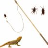 Reptiles & Amphibian Duedusto | Duedusto Bearded Dragon Toys For Reptile, Lizard Roach Toy, Interactive Reptile String Wand Toy, Bearded Dragon Tank Accessories