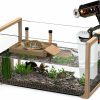 Reptiles & Amphibian OKKOBI | Okkobi Turtle Aquarium Kit - New 2024 - Aquatic Turtle Tank With Filter And Light + Turtle Basking Platform, Small Turtle Tank For Baby & Juvenile Turtle, Perfect Turtle Starter Kit For Kids