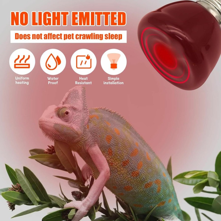 Reptiles & Amphibian Abustle pig | Abustle Pig Mini Reptile Heat Lamp, 25W Infrared Ceramic Heat Emitter, No Light Emitting Reptile Heat Bulbs,Ceramic Heat Lamp For Amphibian, Chicken Coop,Cat, Turtle, Snake,Terrarium (2, 50 W)