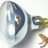 Reptiles & Amphibian MyComfyPets | Mycomfypets Uvb And Uva 2-In-1 Reptile Bulb 125W For Bearded Dragons And All Reptiles (700 Uvb)