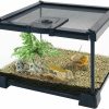 Reptiles & Amphibian AWXZOM | Awxzom Mini Reptile Glass Terrarium Tank, Cage For Tarantula Sling Geckos, Frog, Lizards, Chameleons,Turtles Snake Snail Insect Hermit Crab Isopods Reptiles Enclosure (7.9X7.9X5.7Inch)