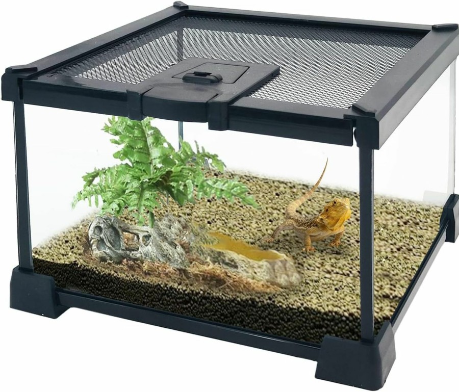 Reptiles & Amphibian AWXZOM | Awxzom Mini Reptile Glass Terrarium Tank, Cage For Tarantula Sling Geckos, Frog, Lizards, Chameleons,Turtles Snake Snail Insect Hermit Crab Isopods Reptiles Enclosure (7.9X7.9X5.7Inch)