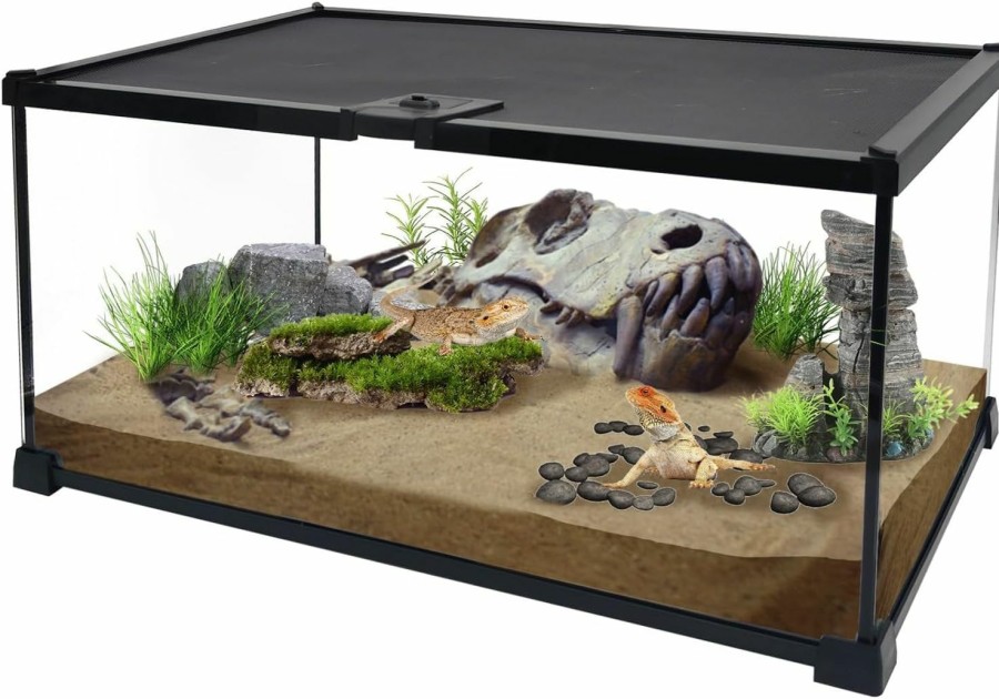 Reptiles & Amphibian AWXZOM | Awxzom Mini Reptile Glass Terrarium Tank, Cage For Tarantula Sling Geckos, Frog, Lizards, Chameleons,Turtles Snake Snail Insect Hermit Crab Isopods Reptiles Enclosure (7.9X7.9X5.7Inch)