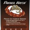 Reptiles & Amphibian Pangea | Pangea Hatch Premium Reptile Egg Incubation Substrate (1 Lb)