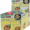 Reptiles & Amphibian Zoo Med | Zoo Med Hermit Crab Neon Colored Shells, Assorted Colors (3 Shells)