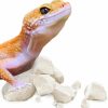 Reptiles & Amphibian Meric | Cocoo Mineral Rocks For Leopard And Crested Geckos, Reptile Enrichment, Terrarium Decor, With Lime, Calcium, And Trace Elements, 2 Oz.