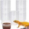 Reptiles & Amphibian Aiicioo | Gecko Feeder Ledge With 6 Pack Plastic Bowls Strong Magnetic Reptile Food Feeder Water Dish