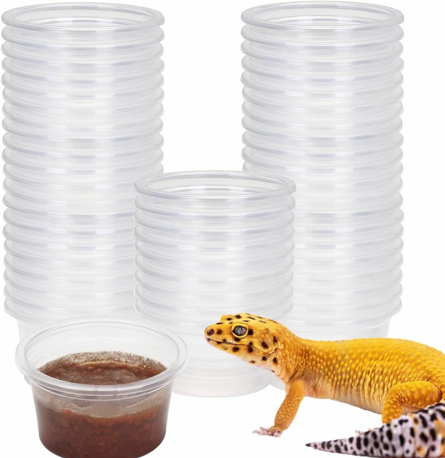 Reptiles & Amphibian Aiicioo | Gecko Feeder Ledge With 6 Pack Plastic Bowls Strong Magnetic Reptile Food Feeder Water Dish