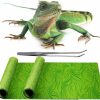 Reptiles & Amphibian REP BUDDY | Rep Buddy 2 Pack Reptile Carpet Rainforest Tropical Mat & Reversible Substrate, Terrarium Liner Bedding, For Lizard,Chameleon,Gecko,Snake,Ceratophrys With Tweezers Feeding Tong (20 Gallon(30X12In))