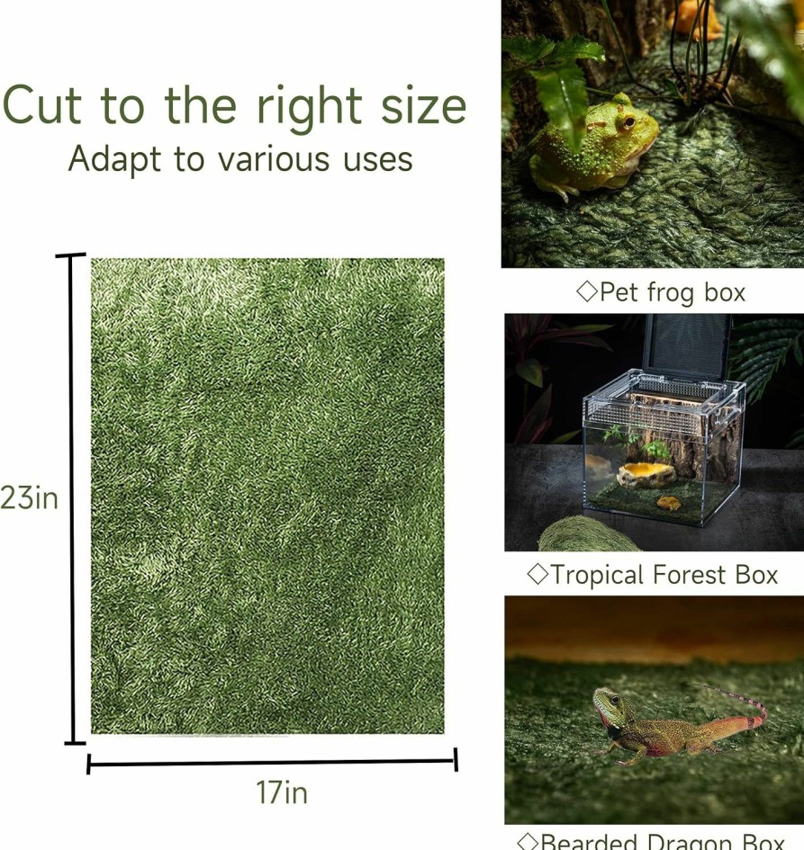 Reptiles & Amphibian BEEMERIT | Moss Reptile Carpet, Raise Box Humidity, Fibre Mat For Pet Box Lining, Rainforest Reptile Supplies For Turtles, Lizards, Chameleons, Snakes, Horned Frogs, Bearded Dragons (17\" X 24\" X 1 Pack)