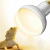 Reptiles & Amphibian TIMEGOA | Timegoa Reptile Heat Lamp Bulbs, 75W E26 Uva Basking Spot Light For Bearded Dragon, Lizard, Tortoise, Chicks,Amphibians, Simulated Natural Sunlight Terrarium Heat Lamps