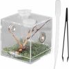 Reptiles & Amphibian Alipis | Alipis Spider Terrarium Spider Habitat Box Reptile Breeding Box With Dropper And Forceps, Snail Container Jumping Spider Enclosure Box