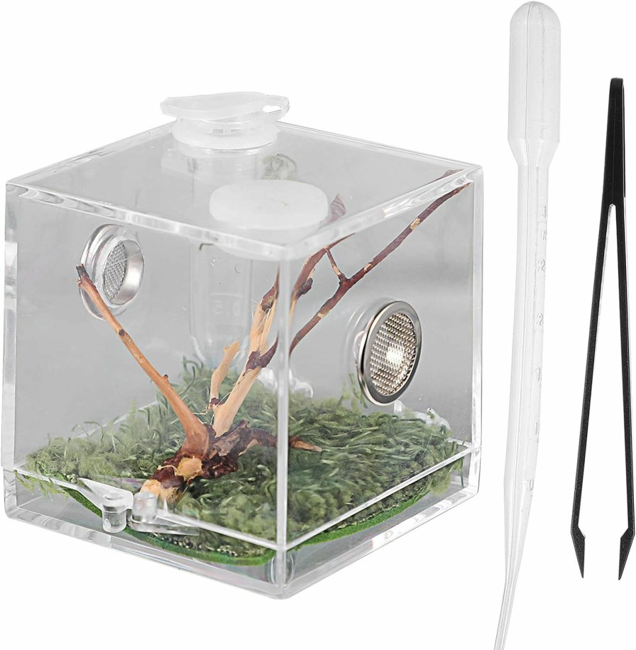 Reptiles & Amphibian Alipis | Alipis Spider Terrarium Spider Habitat Box Reptile Breeding Box With Dropper And Forceps, Snail Container Jumping Spider Enclosure Box