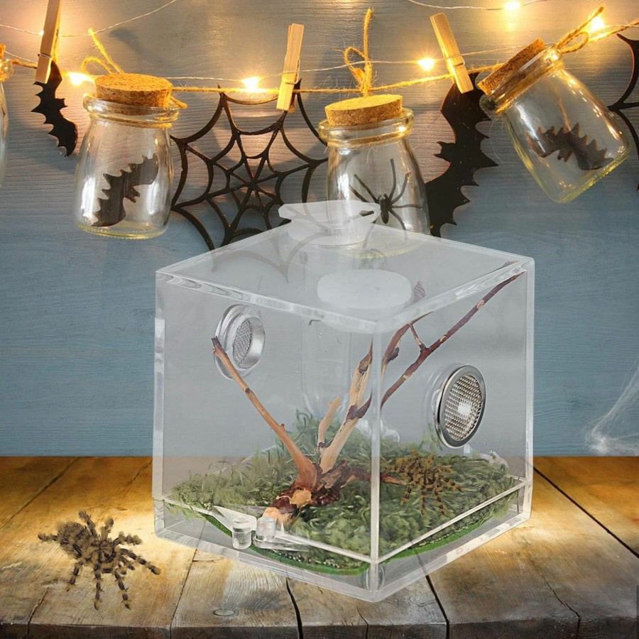 Reptiles & Amphibian Alipis | Alipis Spider Terrarium Spider Habitat Box Reptile Breeding Box With Dropper And Forceps, Snail Container Jumping Spider Enclosure Box