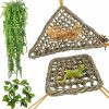 Reptiles & Amphibian kathson | Kathson Bearded Dragon Hammock,Lizard Lounger Reptile Tank Hanging Plants Climbing Jungle Vines Flexible Leaves Decorations For Lizards Chameleon Gecko Snakes(5 Pcs)