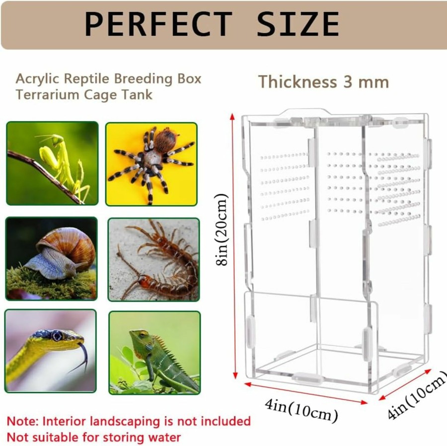 Reptiles & Amphibian NENHEIONI | Nenheioni Jumping Spider Enclosure,Reptile Tank,Acrylic Terrarium,For Small Reptiles And Invertebrates, Mantis, Spider, Cricket(8\" X4 X4 )